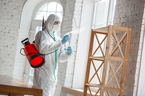 Kiểm soát côn trùng và chuột Khách sạn AMIRA